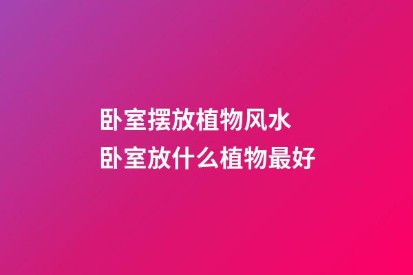 卧室摆放植物风水 卧室放什么植物最好
